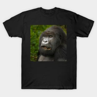 Gorilla IV T-Shirt